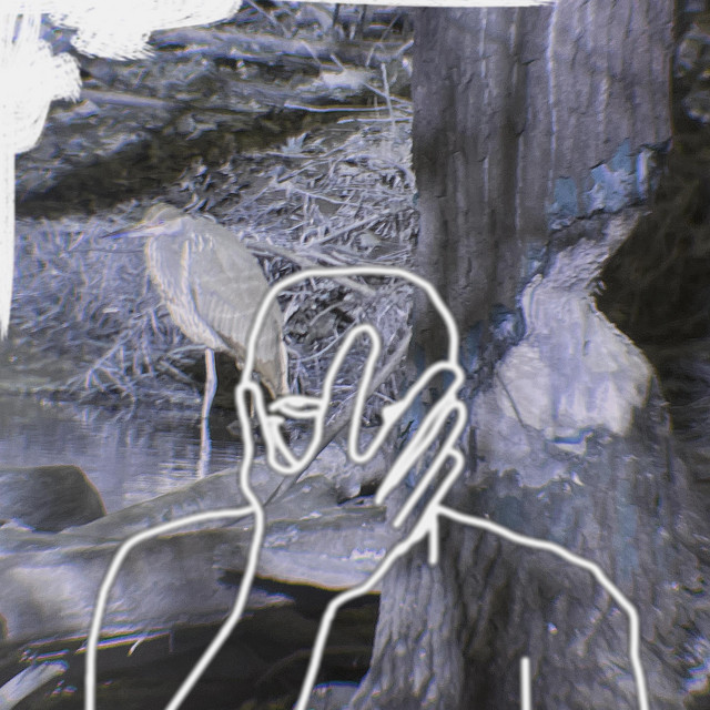 Blu cover art
