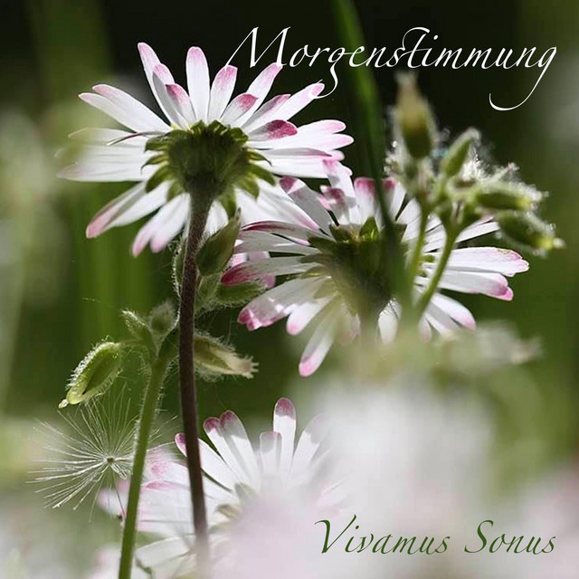 Morgenstimmung cover