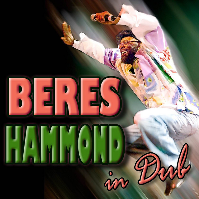 In Dub (Deluxe Version) cover art
