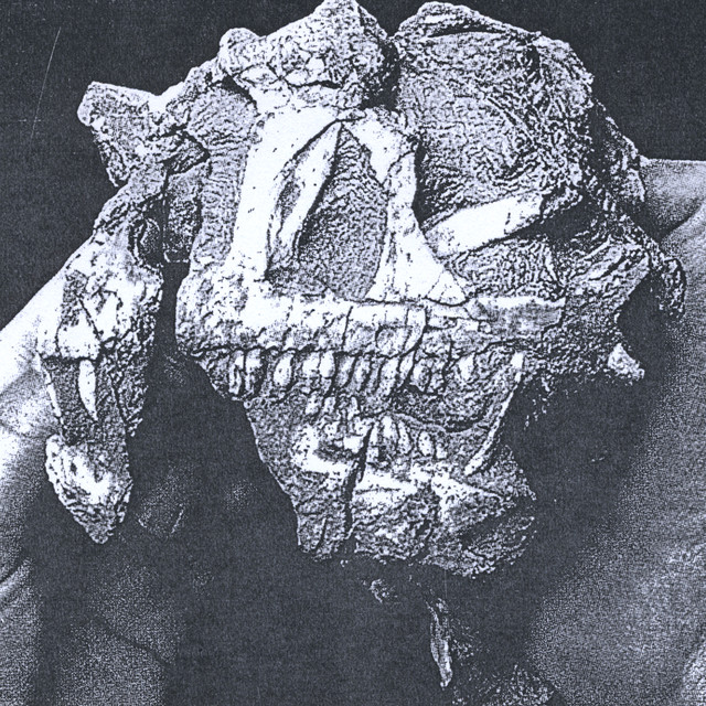 Iris Is Found cover art
