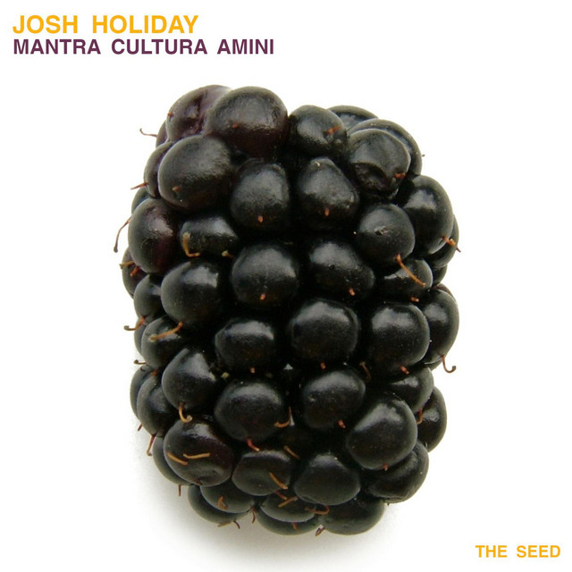 Mantra Cultura Animi - Oscar Vega Remix cover art