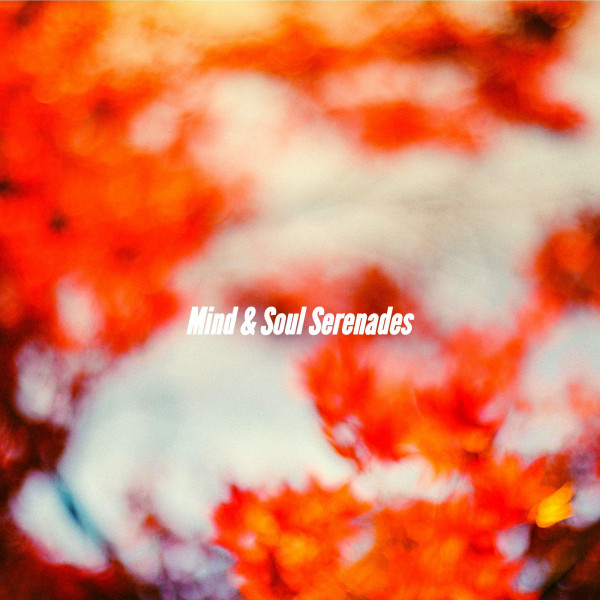 Mind & Soul Serenades cover art