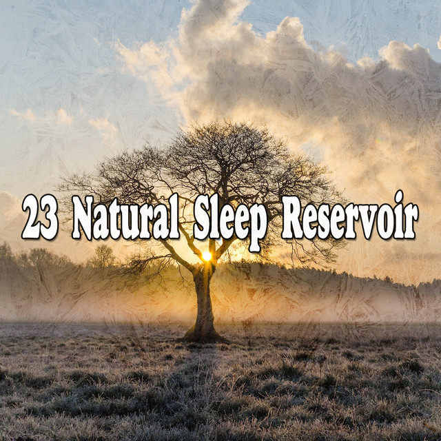 23 Natural Sleep Reservoir - Album by Sleep Sounds of Nature | Spotify