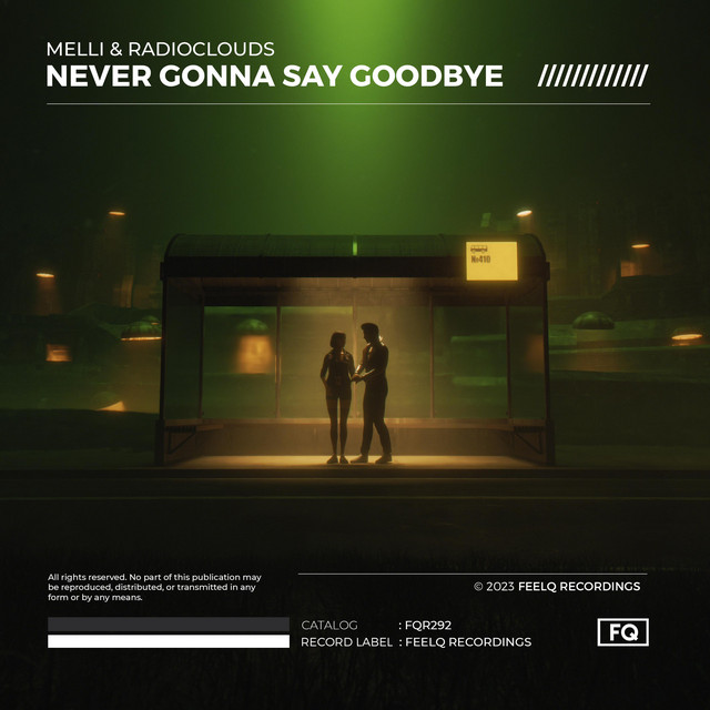 Never Gonna Say Goodbye