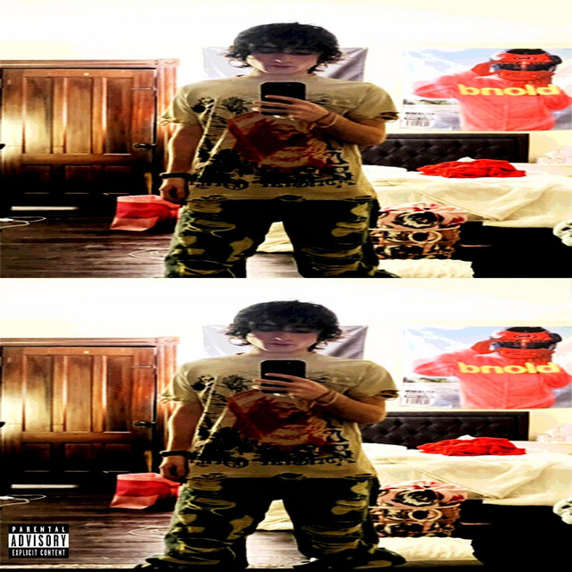 echo cover art