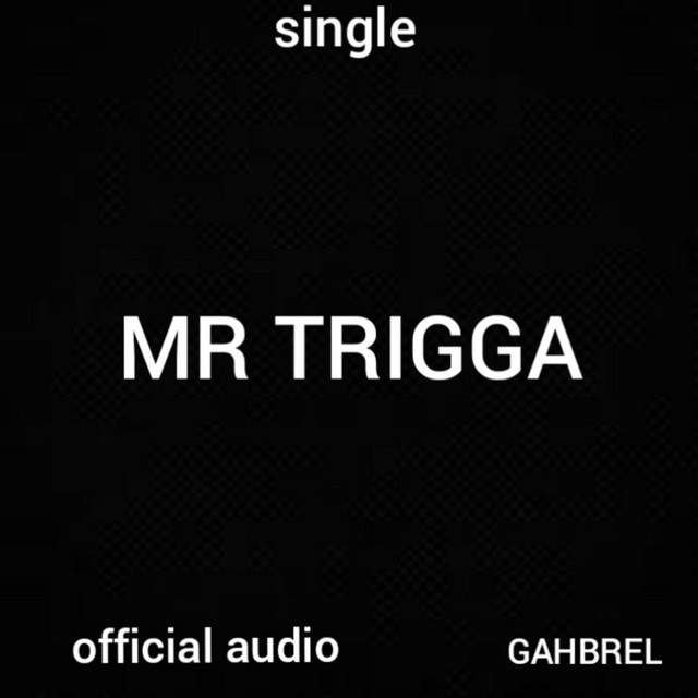 Mr Trigga
