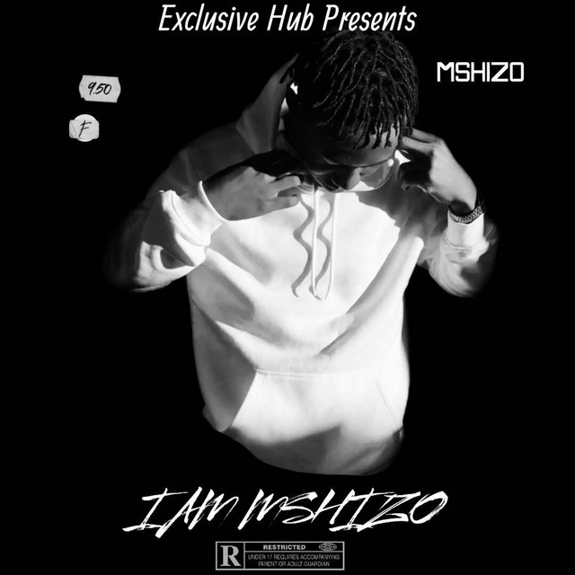 I AM MSHIZO cover art