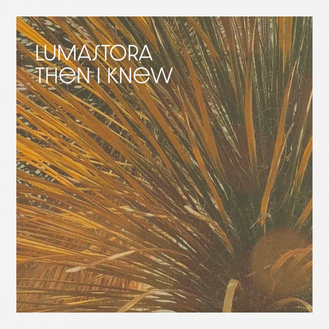 Then I Knew (single)
