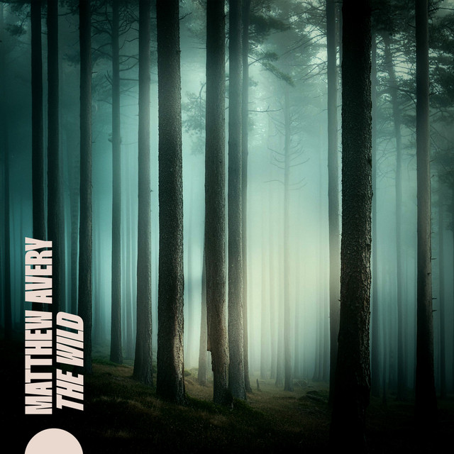 The Wild cover art
