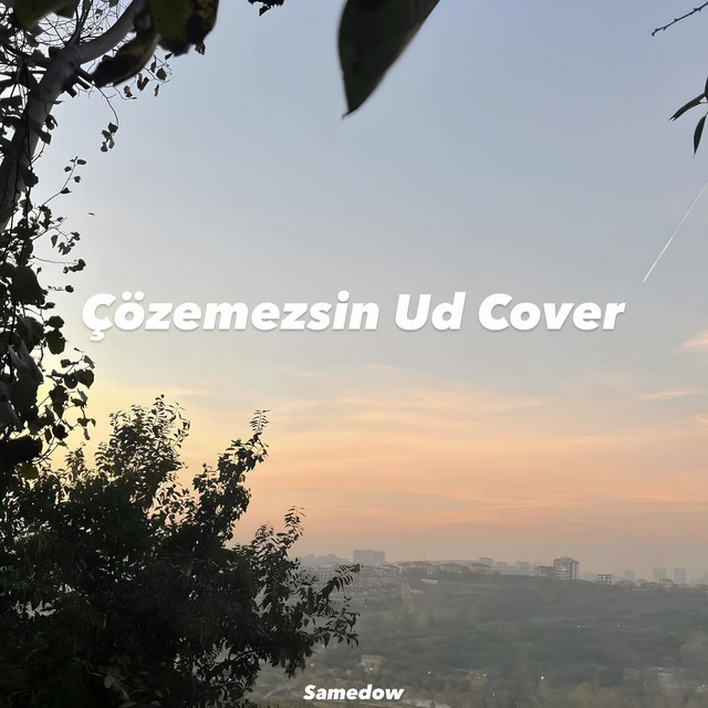 Çözemezsin Ud Cover cover art