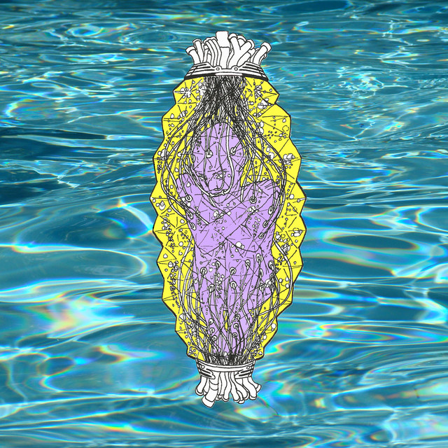 Laboratorio de Clonación cover