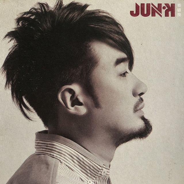 J.U.N.K. cover art