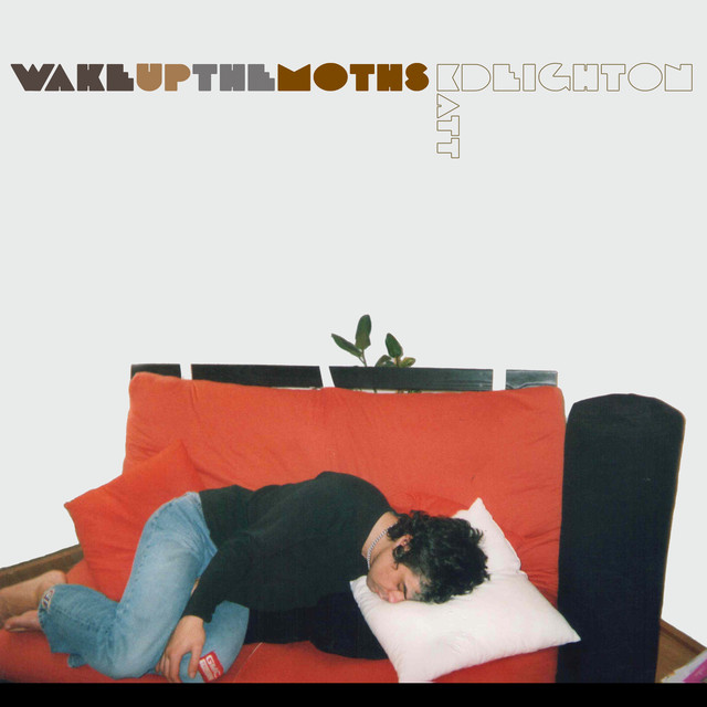 Wake up the Moths cover art