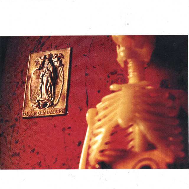 Skull & X Bones cover art