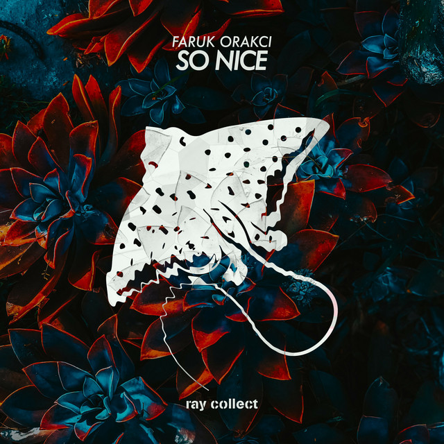 So Nice - Single by Faruk Orakci | Spotify