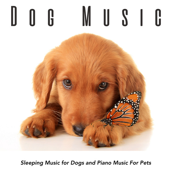 Dog Music: Sleeping Music for Dogs and Piano Music For Pets - Album by ...