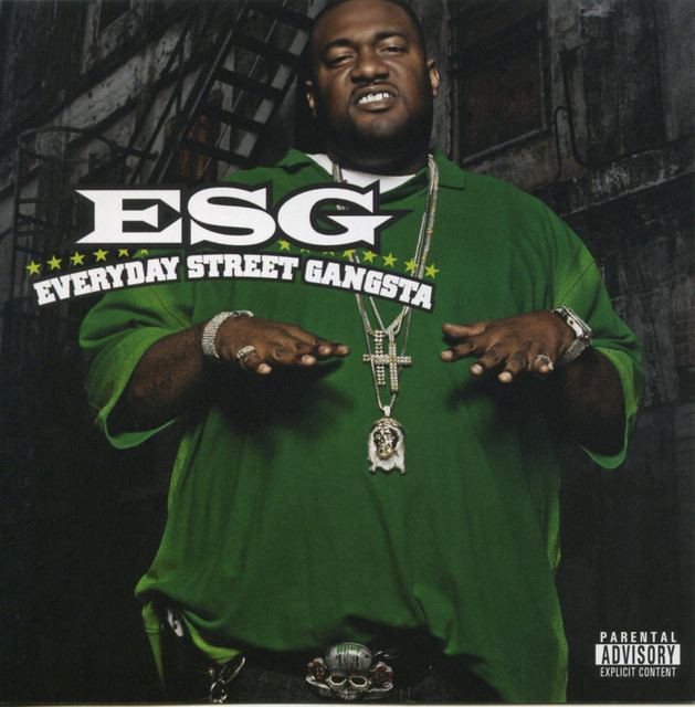 Everyday Street Gangsta cover art