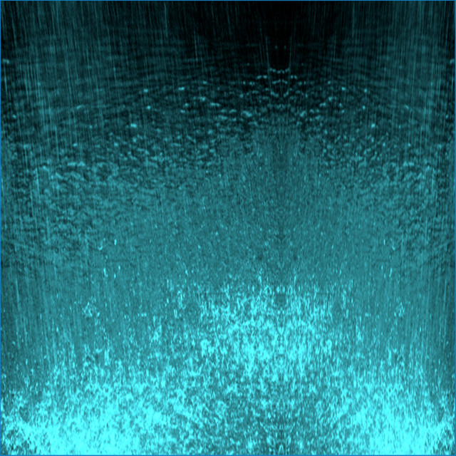 A Light Rain in the Forest