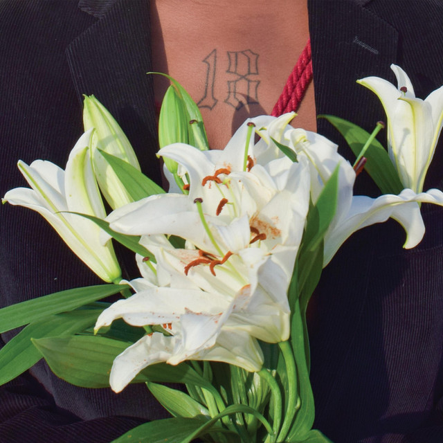 Mountain Dew Wedding cover art