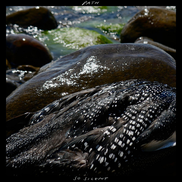 So Silent cover art