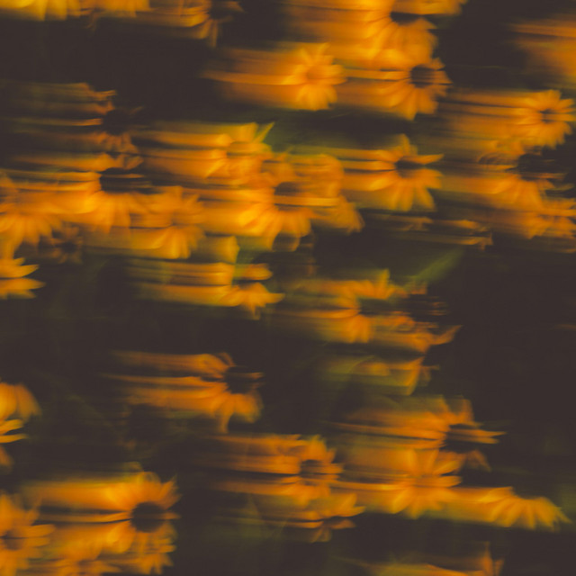 IN REVERSE cover art
