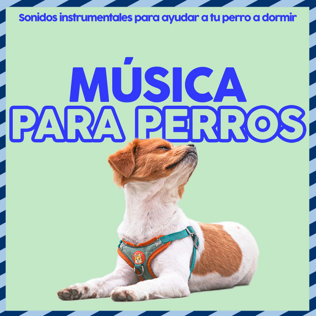Cuerdas Calmantes cover art