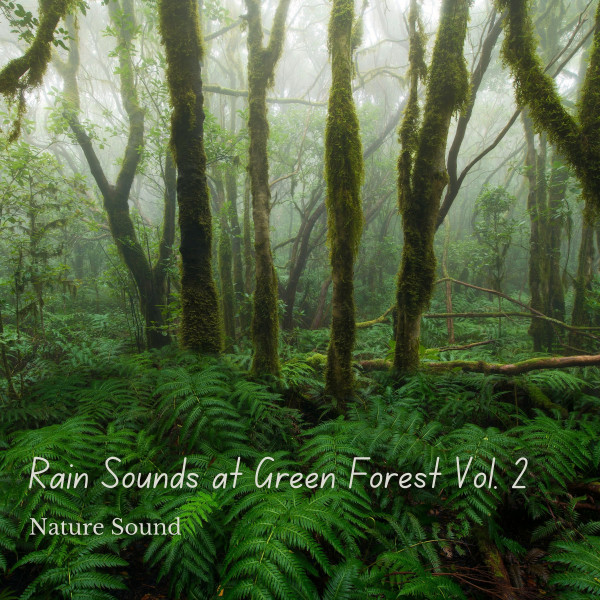 Nature Sound: Rain Sounds at Green Forest Vol. 2 cover art