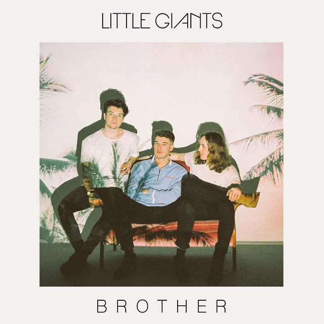 Brother cover