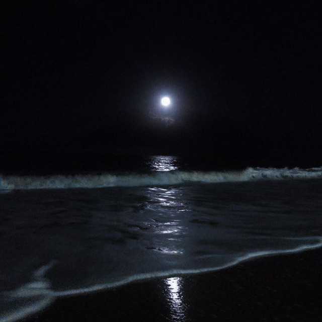 the moon is beautiful isn't it? cover art
