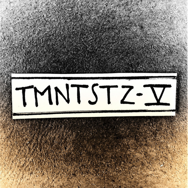 Tmntstz V cover art