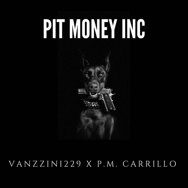 PIT MONEY INC.