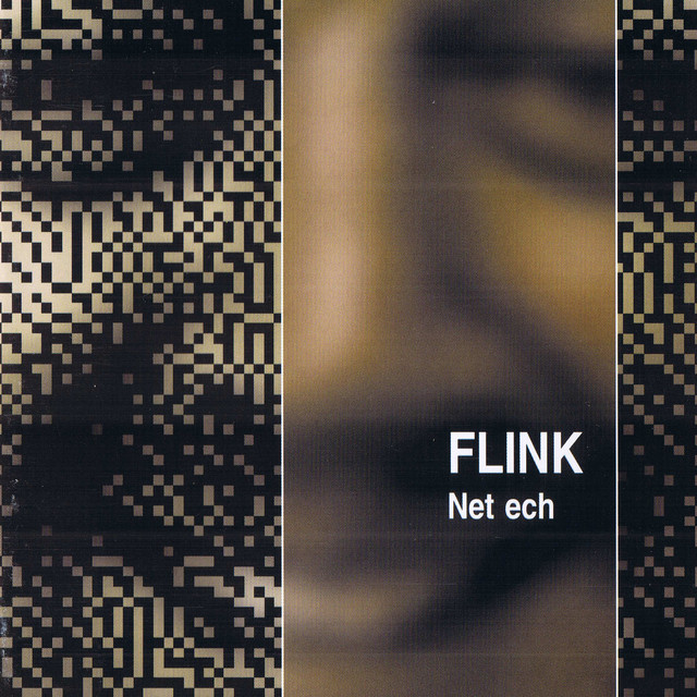 Net Ech cover art