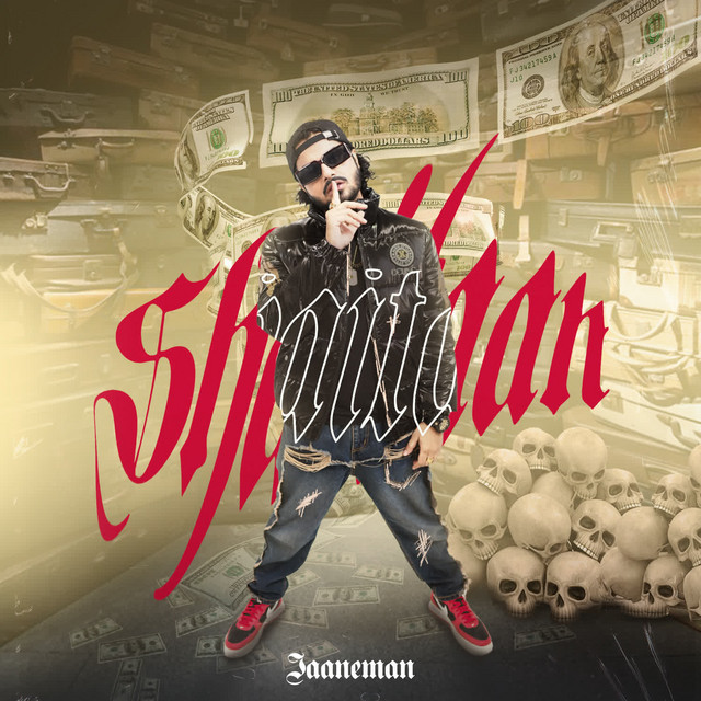 Shaitaan cover