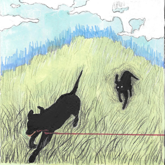 rabidgrounds cover art