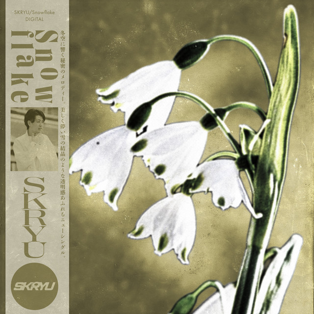 Snowflake cover art