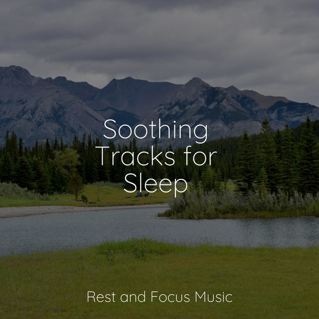 Soothing Tracks for Sleep - Album by Wellness | Spotify