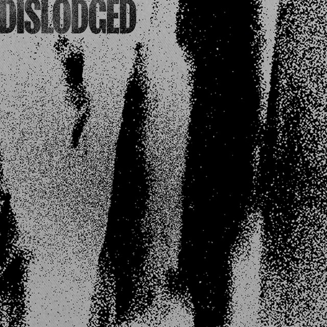 dislodged (single)