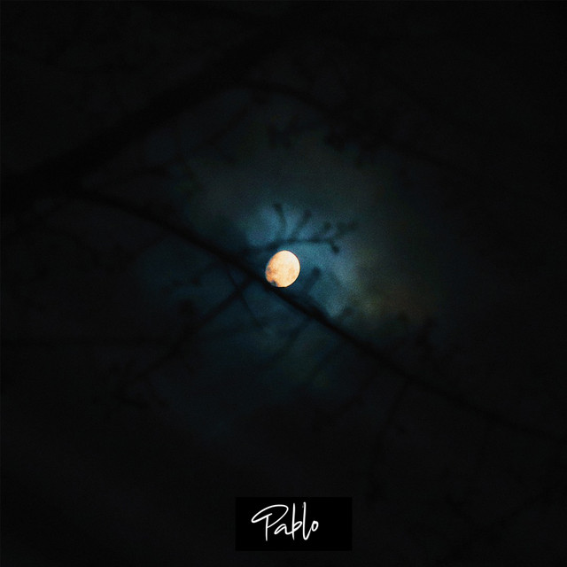 Moonlight cover art