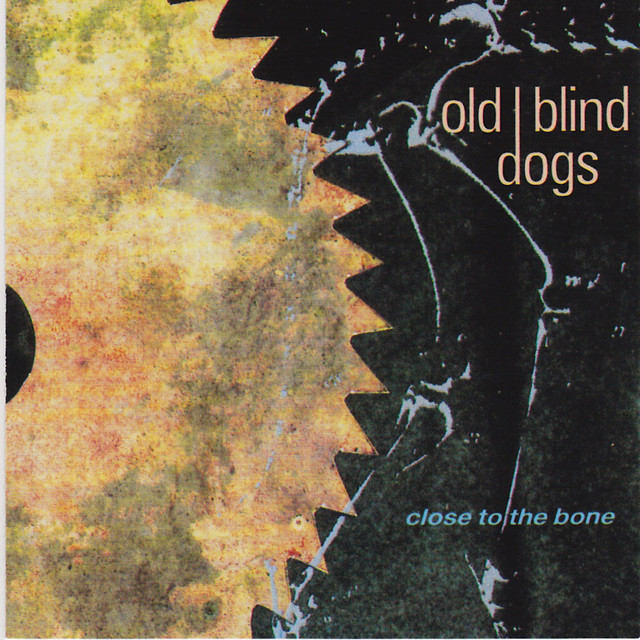 Close to the Bone cover art