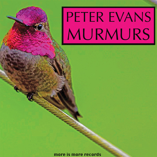 Murmurs cover art