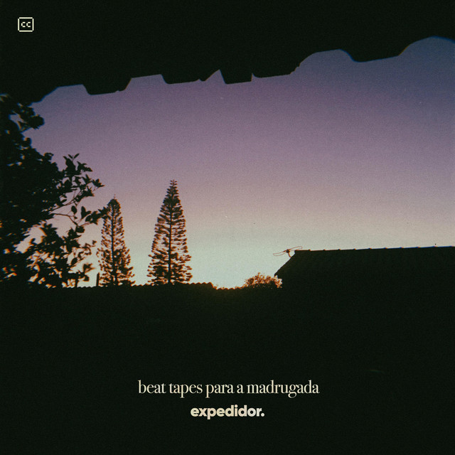 beat tapes para a madrugada cover art