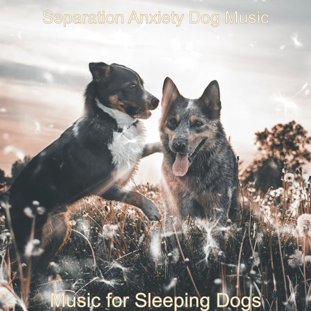 Music for Sleeping Dogs cover art