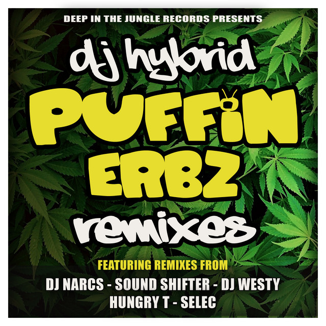 Puffin Erbz - DJ Narcs Remix artwork