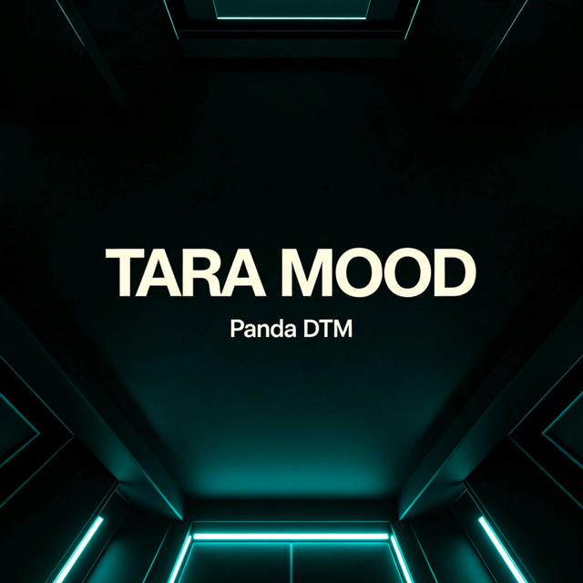 Panda DTM