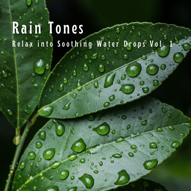 Rain Tones: Relax into Soothing Water Drops Vol. 1 cover art