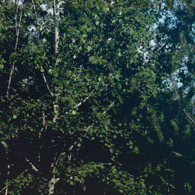 oixtrees