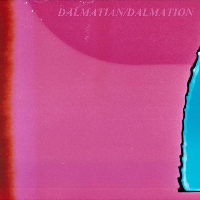 Dalmatian/Dalmation cover