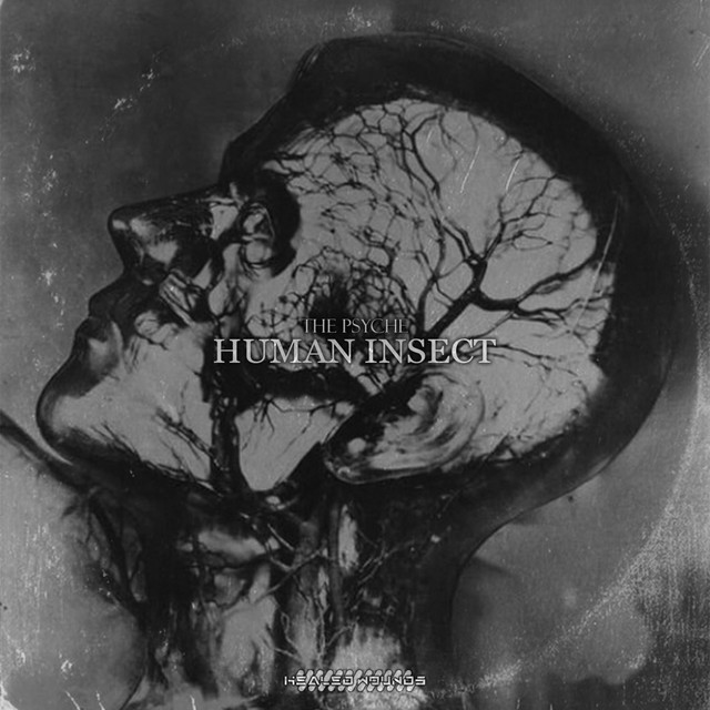Human Insect - The Psyche