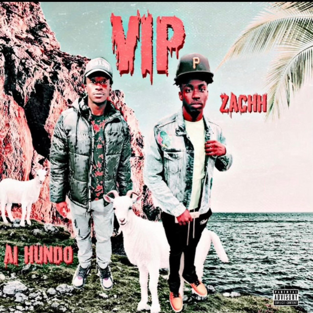 Vip - Single by ZACHH | Spotify