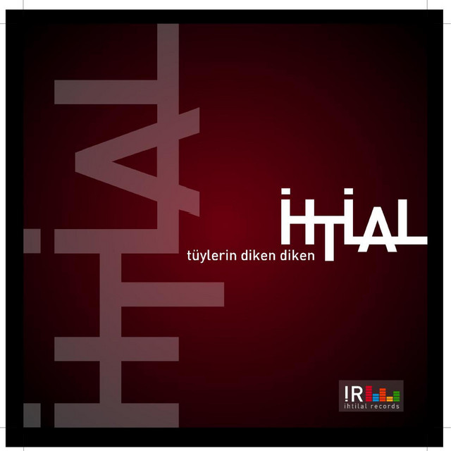 Tüylerin Diken Diken cover art
